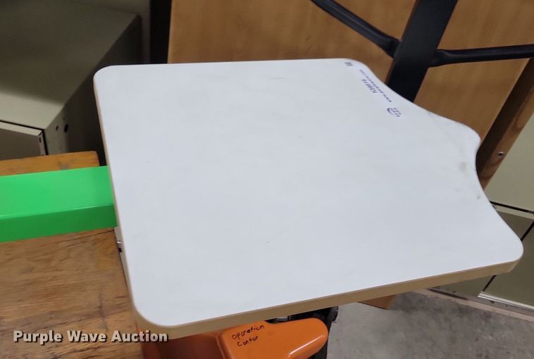 image for item IQ9816 Riley Hopkins  screen printing press