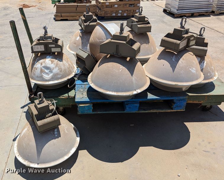 image for item LM9938 (8) light fixtures