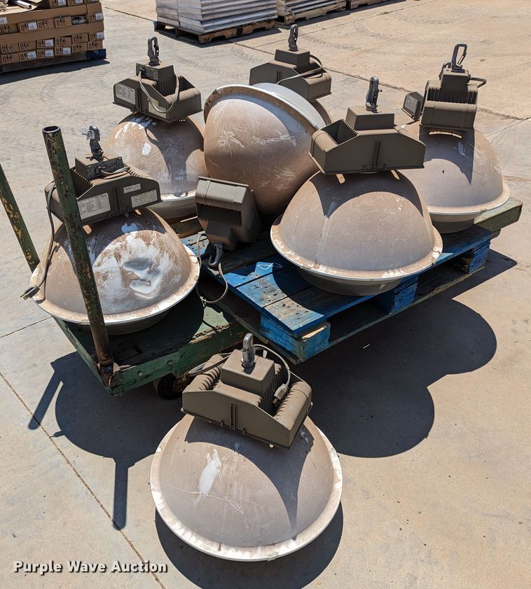 image for item LM9938 (8) light fixtures