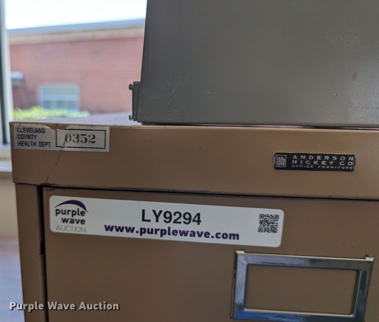 image for item LY9294 (14) file cabinets