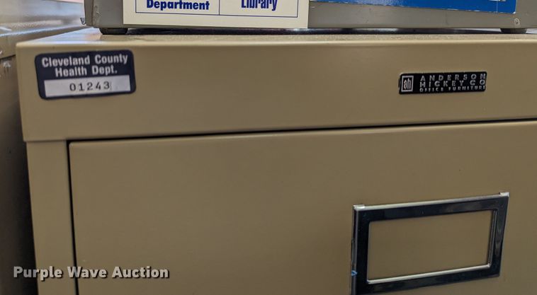 image for item LY9294 (14) file cabinets