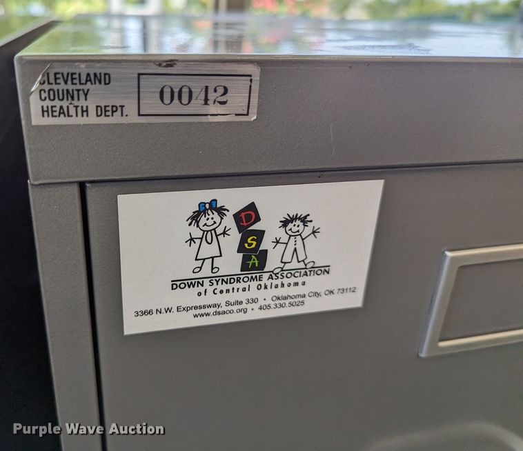 image for item LY9294 (14) file cabinets