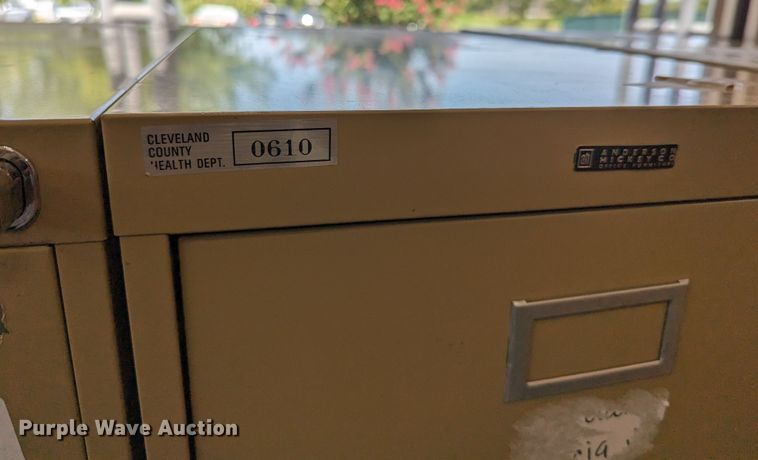 image for item LY9294 (14) file cabinets