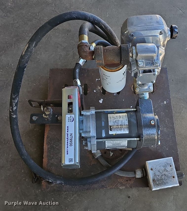 image for item NT9950 (2) fuel pumps