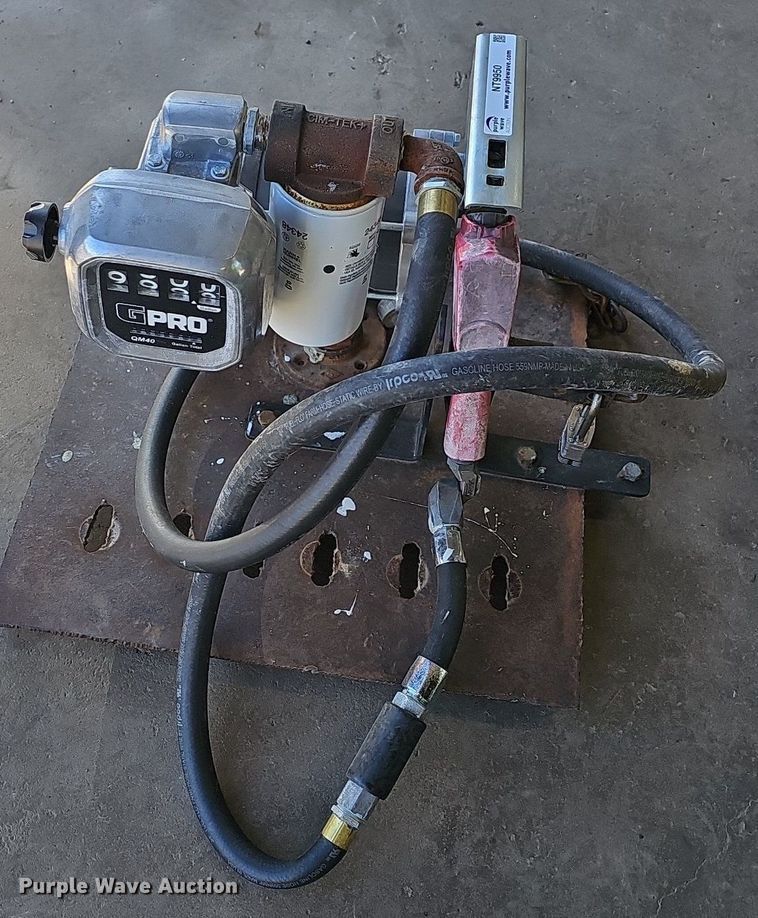 image for item NT9950 (2) fuel pumps