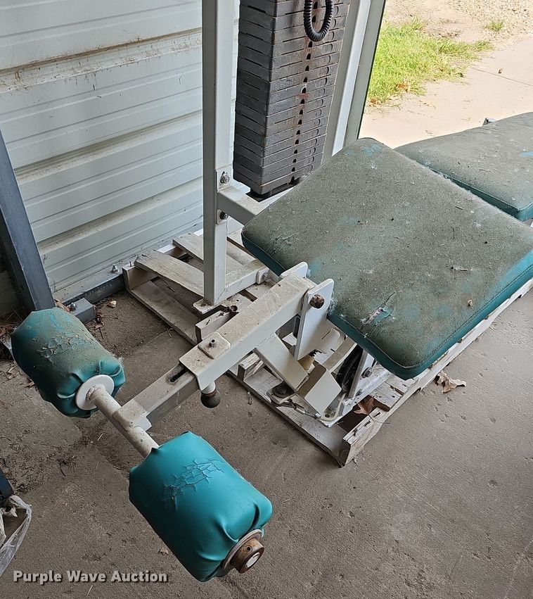 image for item NU9187 Maxx  weight machine