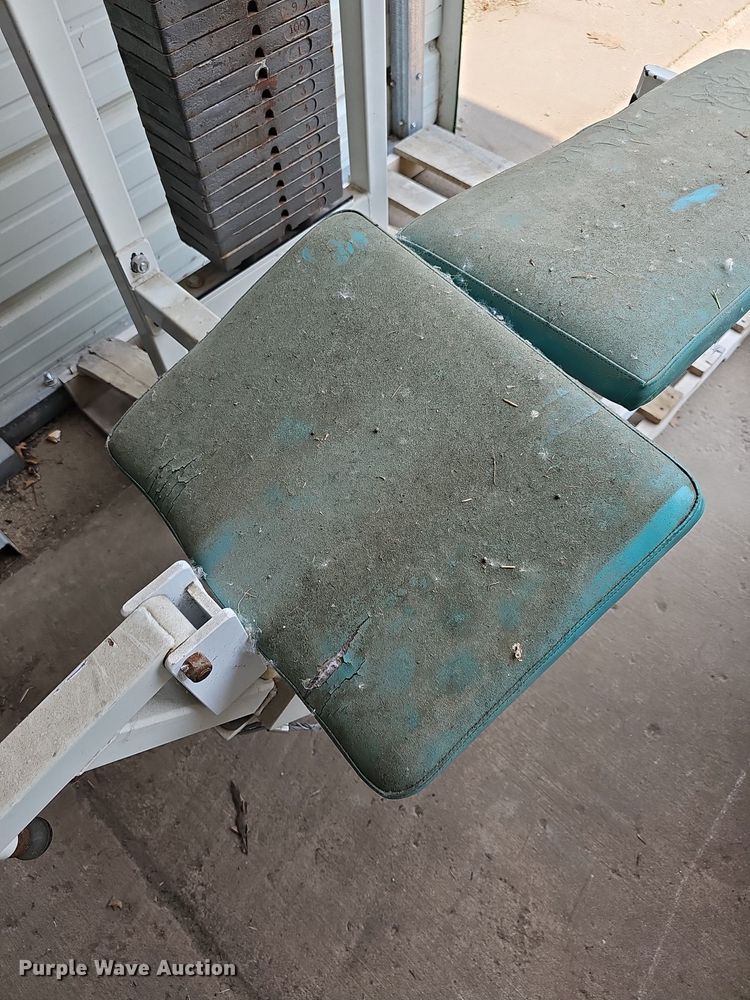 image for item NU9187 Maxx  weight machine