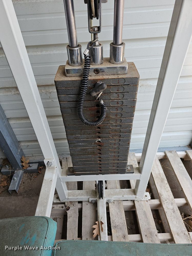 image for item NU9187 Maxx  weight machine