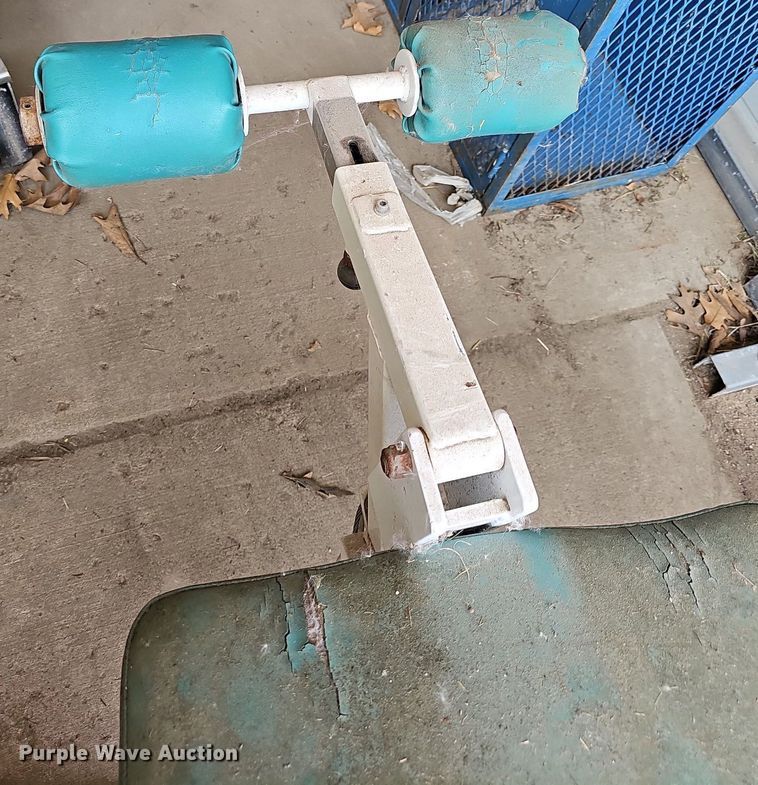 image for item NU9187 Maxx  weight machine