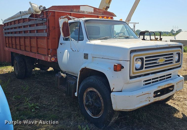image for item DQ0176 1974 Chevrolet C65  grain truck