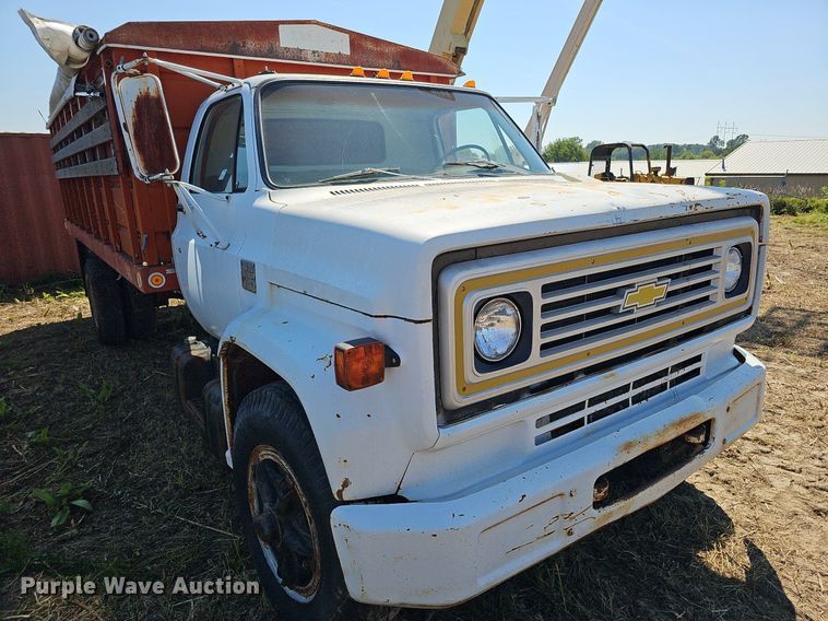 image for item DQ0176 1974 Chevrolet C65  grain truck