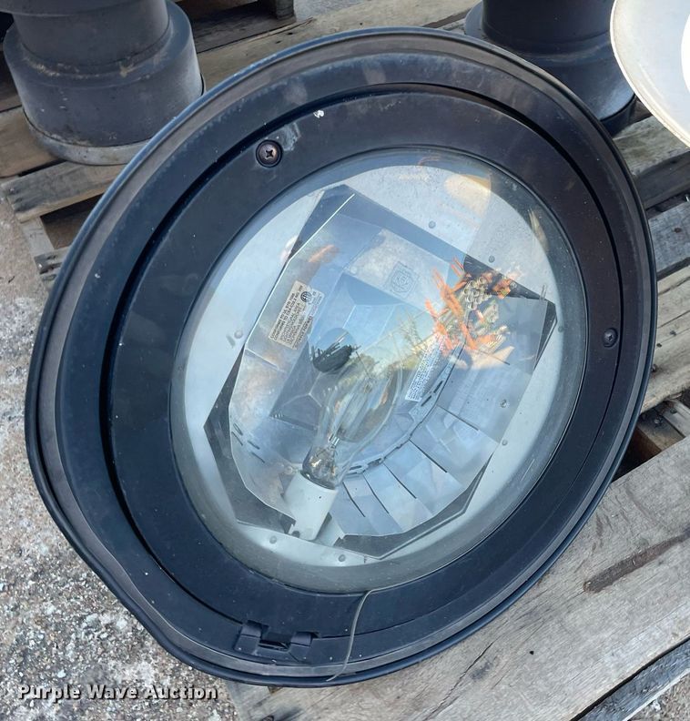 image for item NY9686 (8) lights