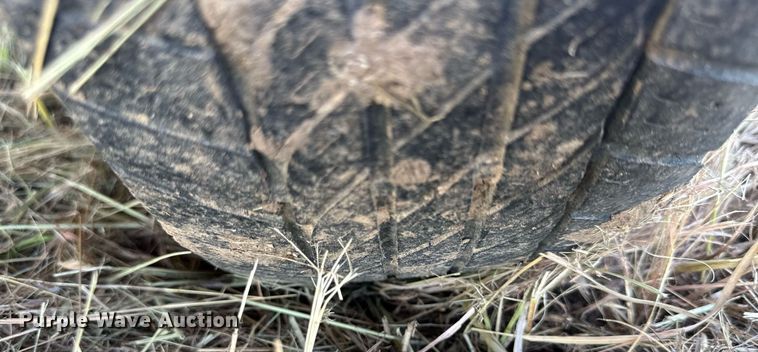 image for item NP9458 Hastings Caretaker  Creep Feeder