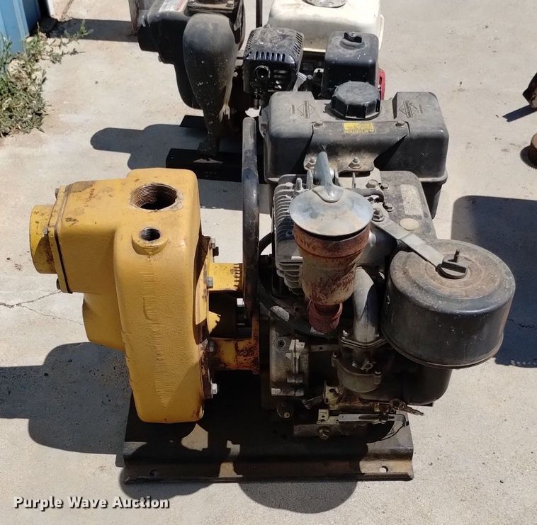 image for item LP9680 (3) pumps