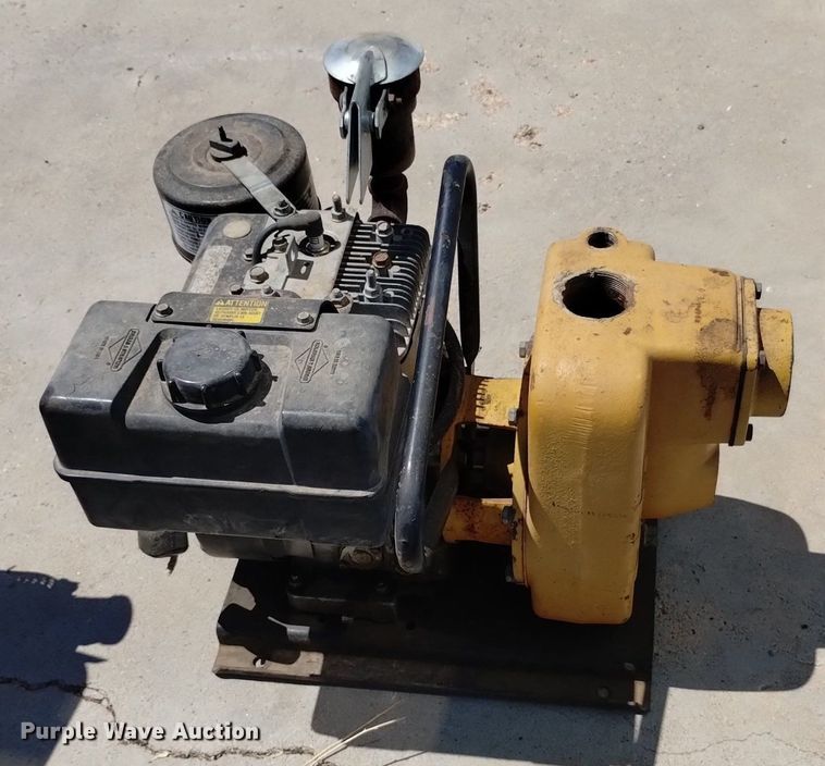 image for item LP9680 (3) pumps