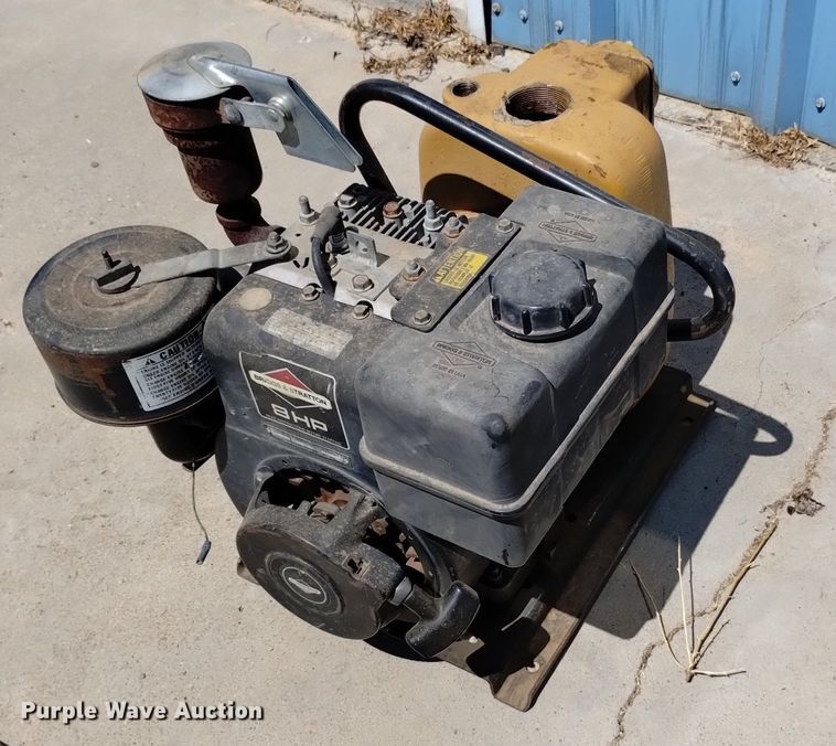 image for item LP9680 (3) pumps