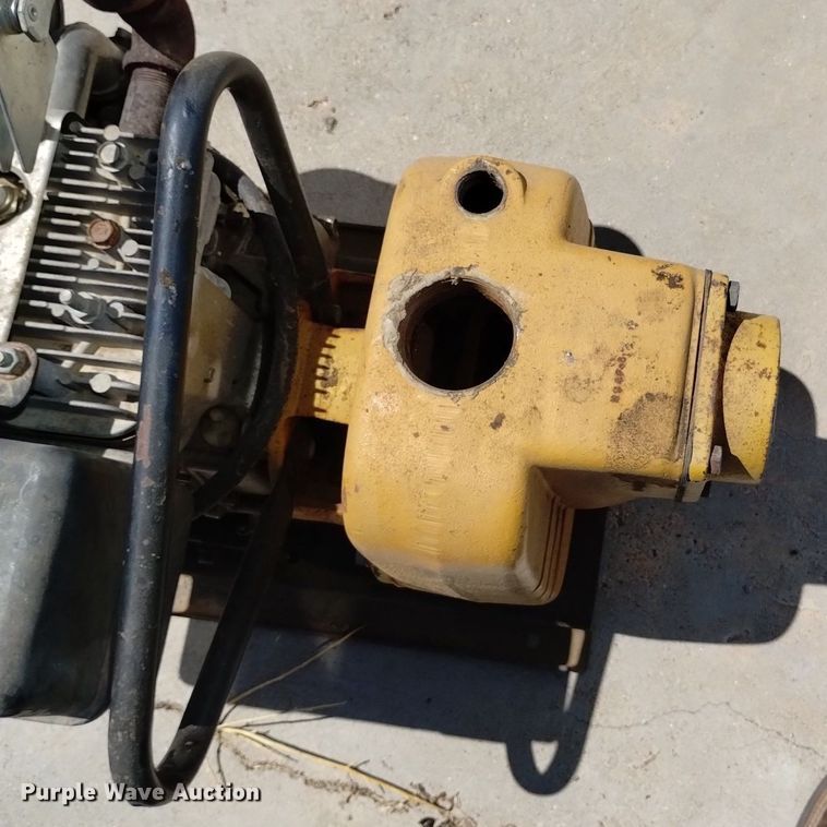 image for item LP9680 (3) pumps