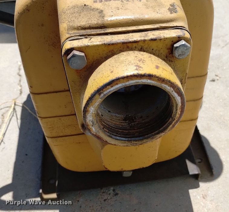 image for item LP9680 (3) pumps