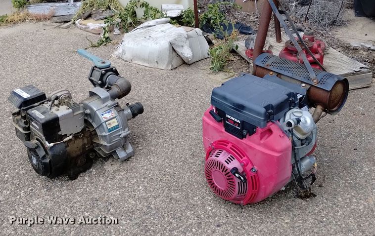 image for item LP9698 (2) pumps