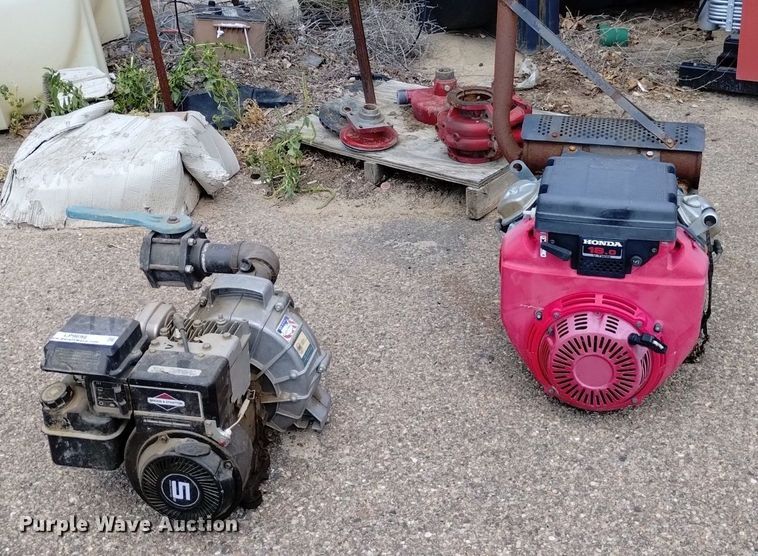 image for item LP9698 (2) pumps