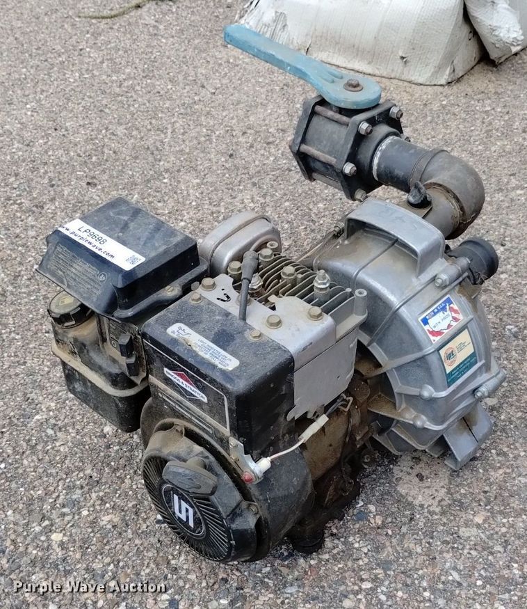 image for item LP9698 (2) pumps