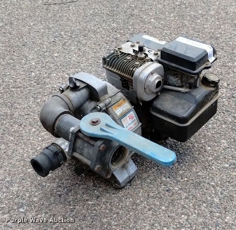 image for item LP9698 (2) pumps