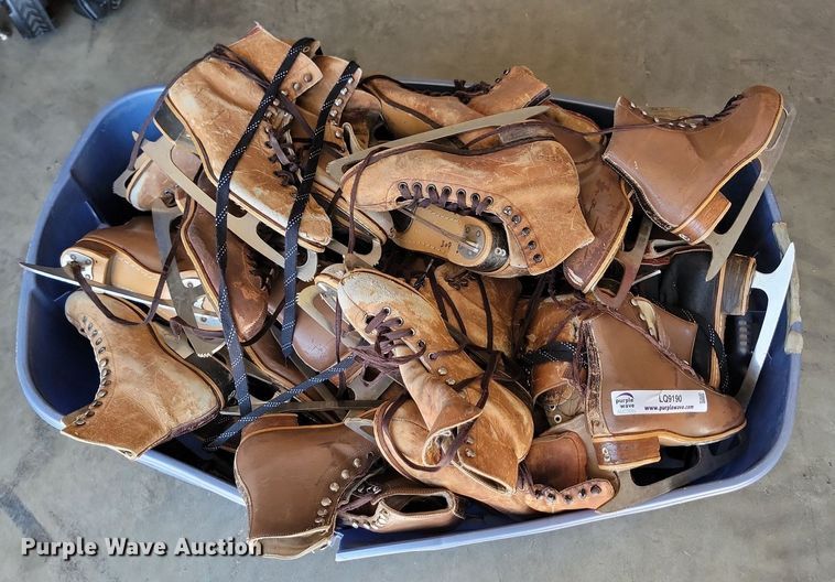 image for item LQ9190 Ice skates