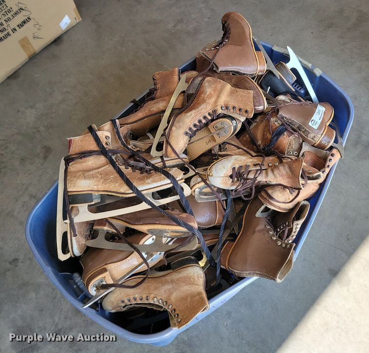 image for item LQ9190 Ice skates