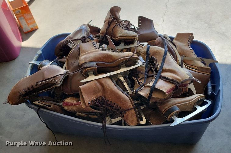 image for item LQ9190 Ice skates