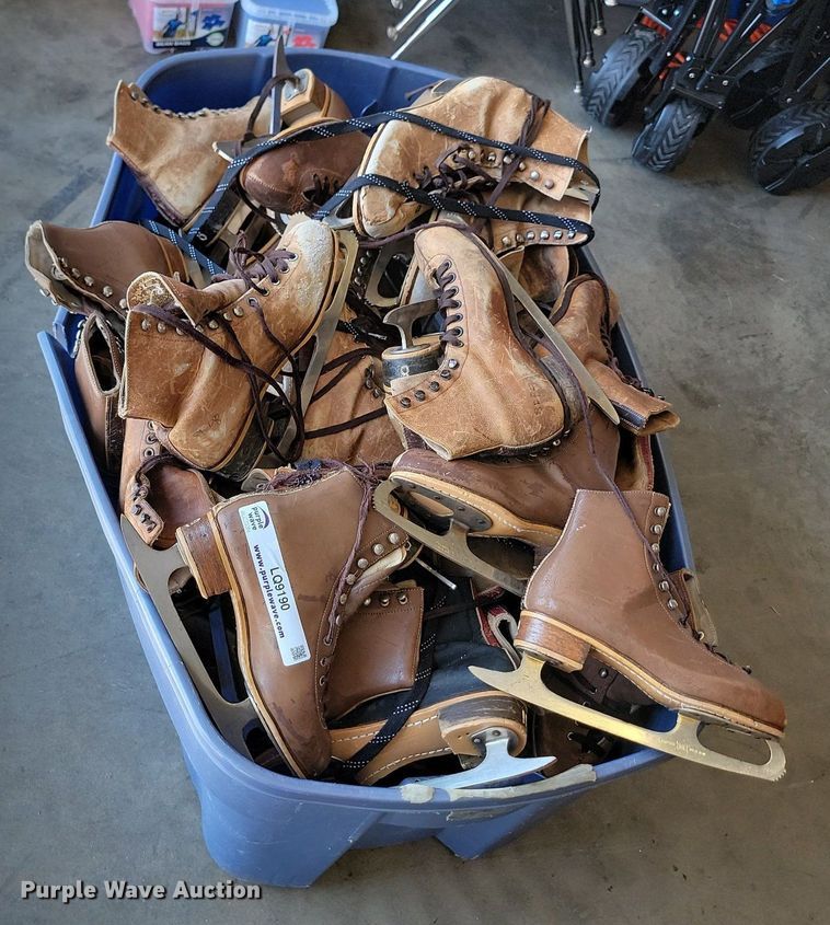 image for item LQ9190 Ice skates