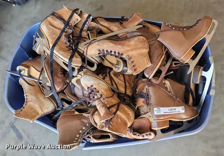 image for item LQ9190 Ice skates