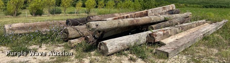 image for item MG9456 Approx. 24 bridge pilings