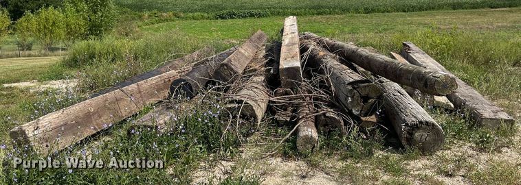 image for item MG9456 Approx. 24 bridge pilings