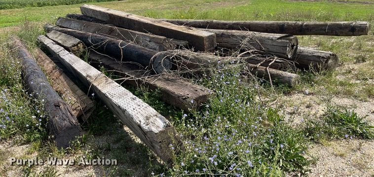 image for item MG9456 Approx. 24 bridge pilings