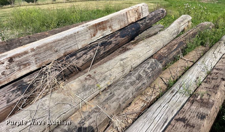 image for item MG9456 Approx. 24 bridge pilings