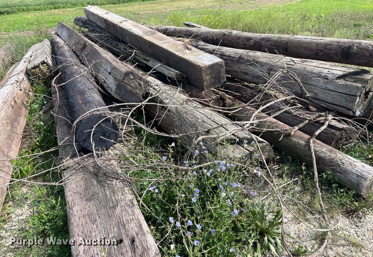 image for item MG9456 Approx. 24 bridge pilings