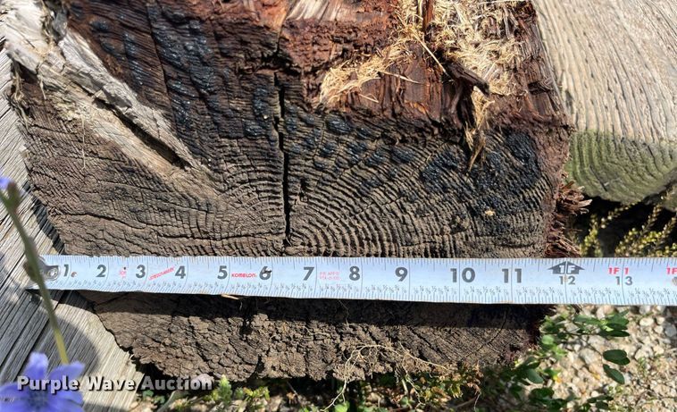 image for item MG9456 Approx. 24 bridge pilings