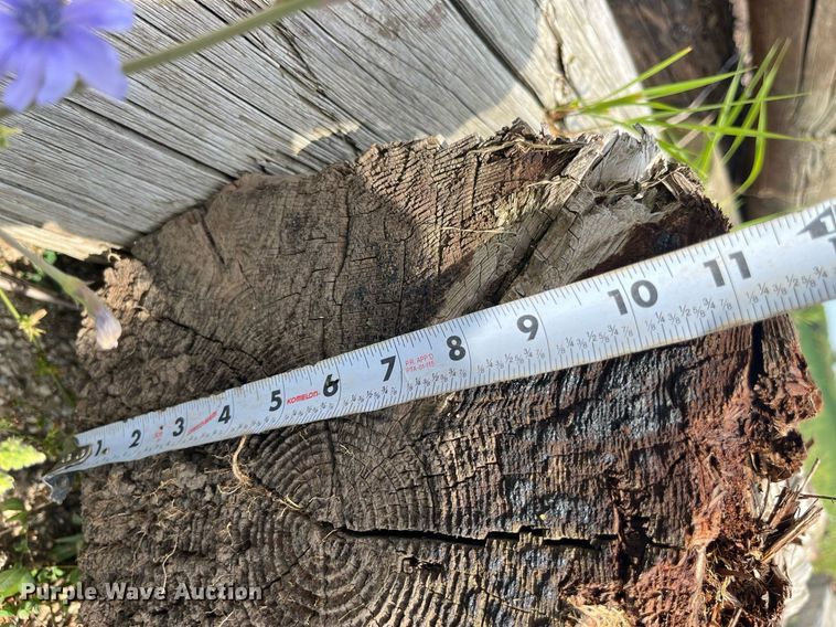 image for item MG9456 Approx. 24 bridge pilings