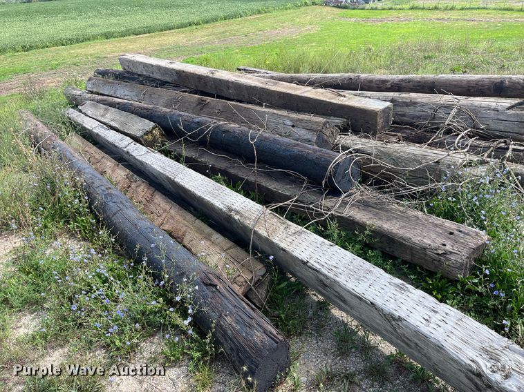 image for item MG9456 Approx. 24 bridge pilings