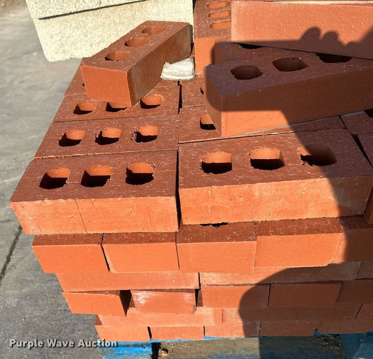 image for item NF9118 Approximately 300 bricks