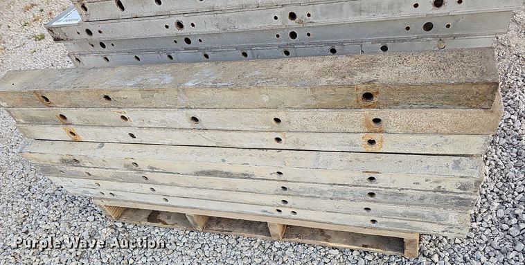 image for item DQ0316 Approximately 38 Western concrete forms