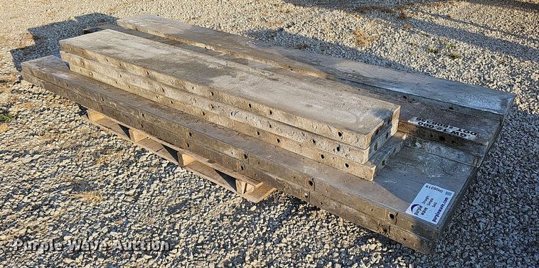 image for item DQ0319 Approximately 9 Western Forms and Wall Ties concrete forms