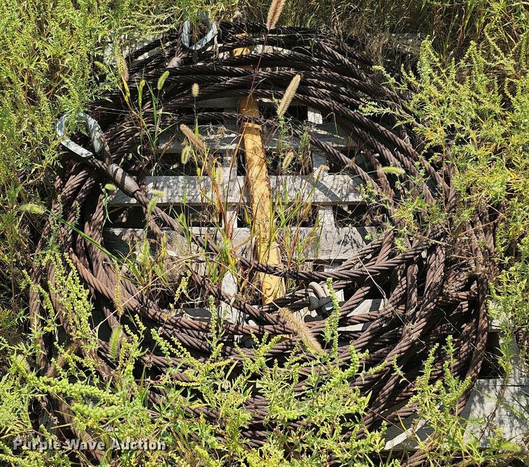 image for item DQ0315 Masaba  conveyor