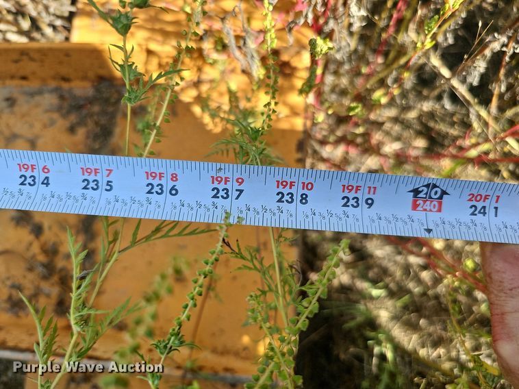 image for item DQ0315 Masaba  conveyor