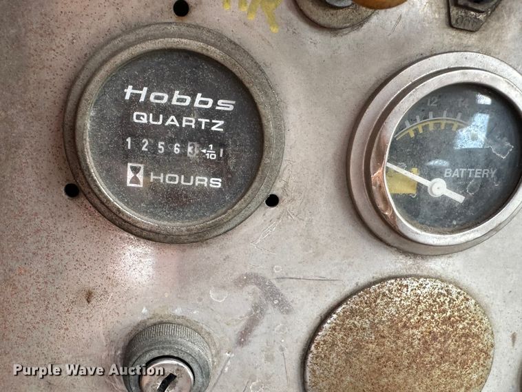 image for item LV9031 Pettibone 25RS  crane