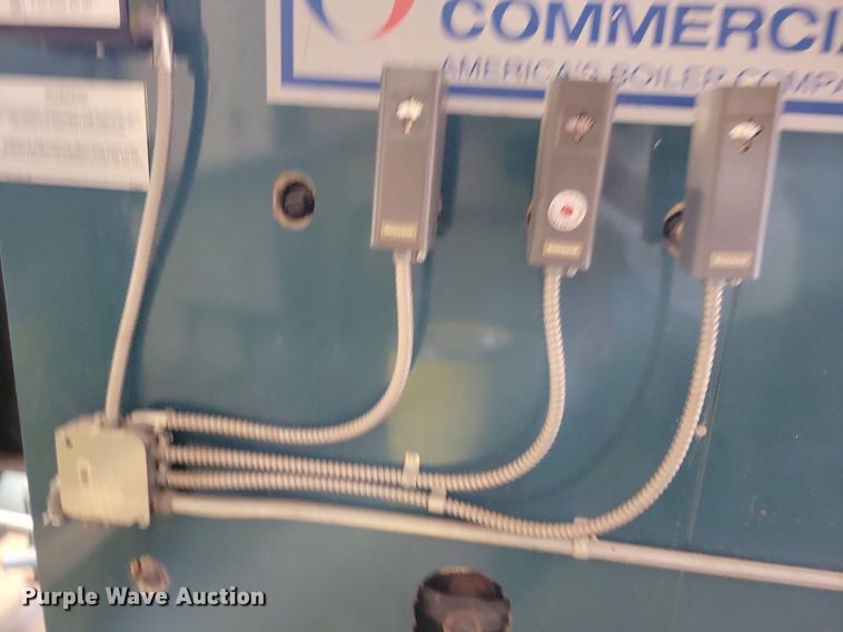 image for item IQ9908 Burnham Commercial  boiler
