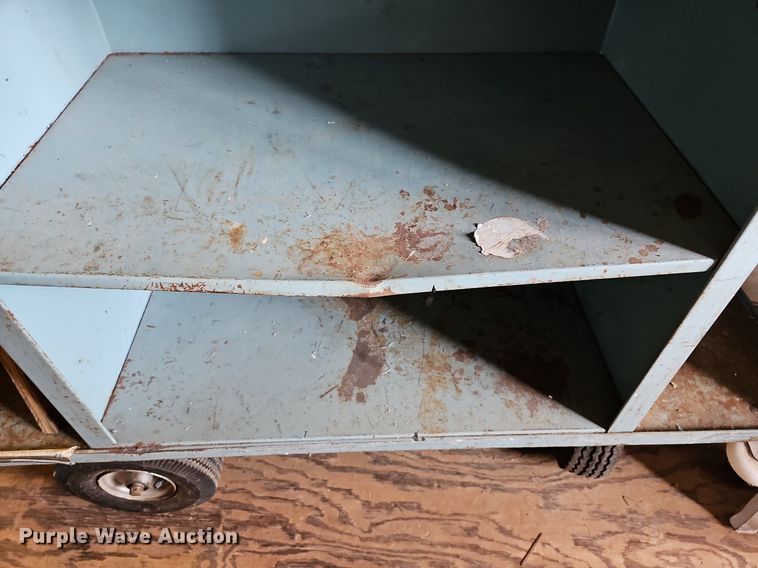 image for item NJ9795 Metal cart