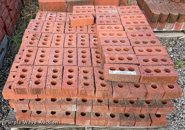 image for item LV9819 Approximately 300 bricks