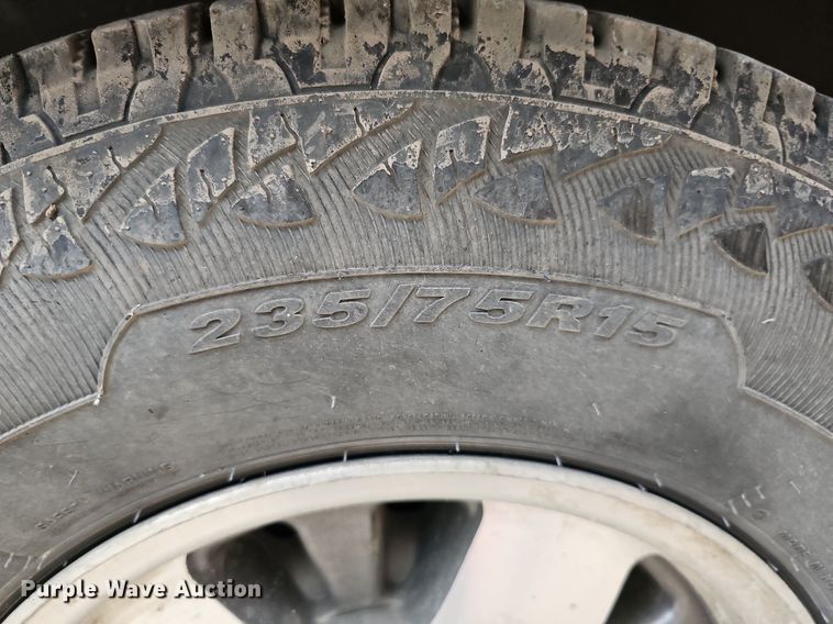 image for item DQ1157 1996 Chevrolet 1500 Mystic Edition  van