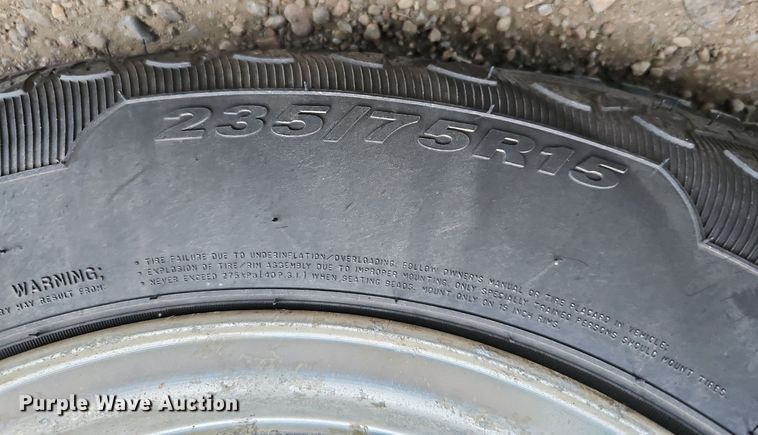 image for item DQ1157 1996 Chevrolet 1500 Mystic Edition  van